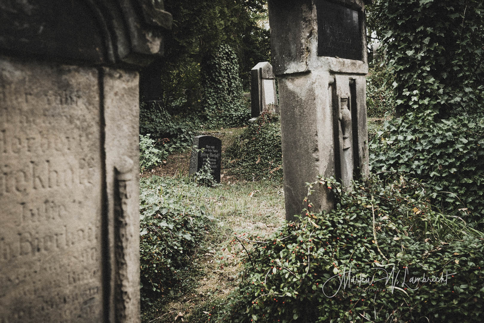 Rimbeck, Jüdischer Friedhof